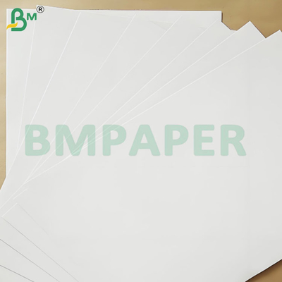 200-360 GSM Carta kraft rivestita su un lato resistente al congelamento