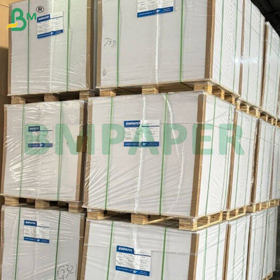 200-360 GSM Carta kraft rivestita su un lato resistente al congelamento