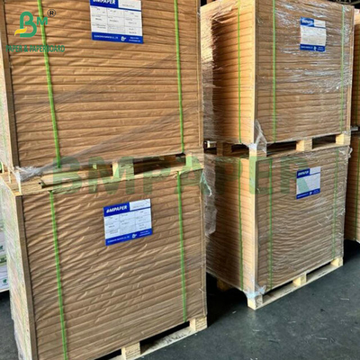 20LB Carta inossidabile multicolore 8 1/2 x 11 1/2 per la stampa offset