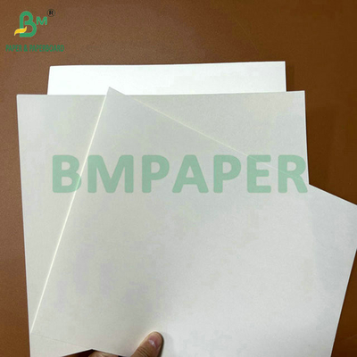 Grado alimentare 250 grammi 737 mm Cupstock impermeabile 1 PE Carta per tazze