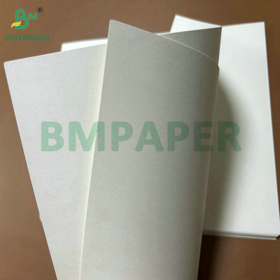 Grado alimentare 250 grammi 737 mm Cupstock impermeabile 1 PE Carta per tazze
