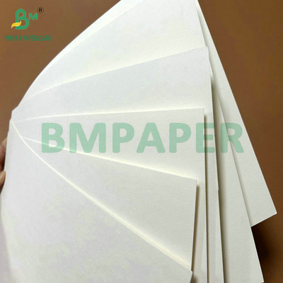 Grado alimentare 250 grammi 737 mm Cupstock impermeabile 1 PE Carta per tazze