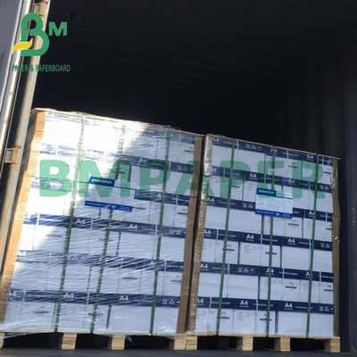 75 g NCR CB CFB CF Carta di copia senza carbonio per fattura 57 X 87 cm