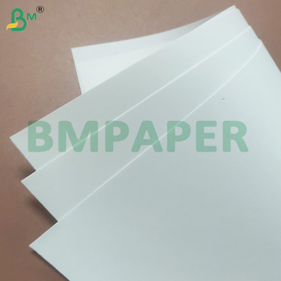 Carta offset 80 gm ecologica certificata A4 per uso in ufficio sostenibile