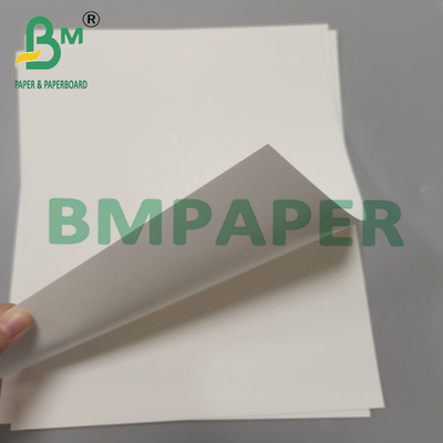 210g 70x100cm C1S Cartone bianco avorio rivestito per scatole cosmetiche