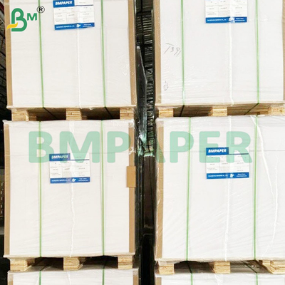 Fogli di carta assorbente impermeabile al calore resistente duraturo
