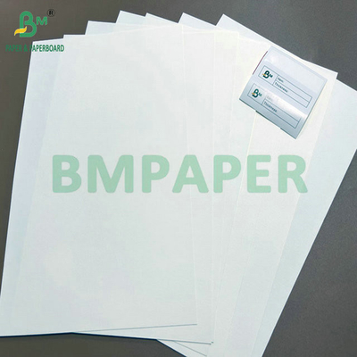 6 pollici Core 900mm 960mm Larghezza Foodgrade CupStock Paper per tazze da bere