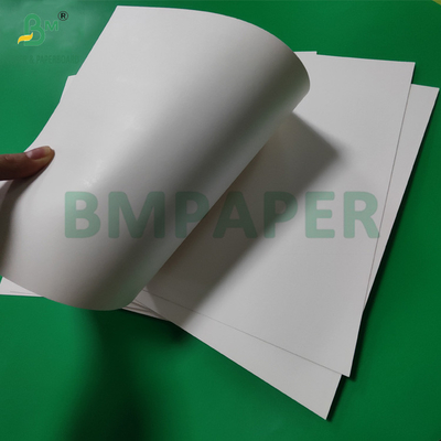 300gm +15g PE rivestito Coppa di carta Stock Board per bevande calde 820mm 880mm
