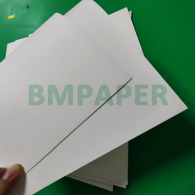 300gm +15g PE rivestito Coppa di carta Stock Board per bevande calde 820mm 880mm