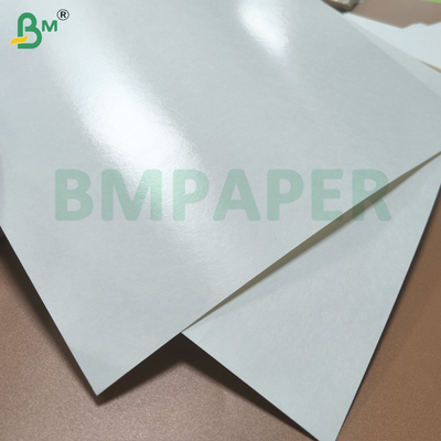 Materiale prima di carta cupstock con rivestimento PE resistente all'acqua