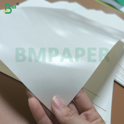 Materiale prima di carta cupstock con rivestimento PE resistente all'acqua