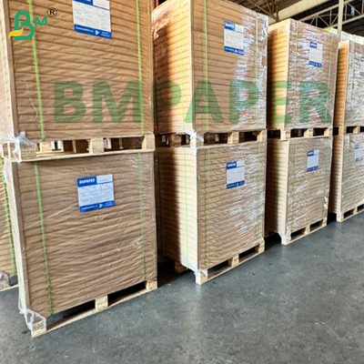 Materiale prima di carta cupstock con rivestimento PE resistente all'acqua