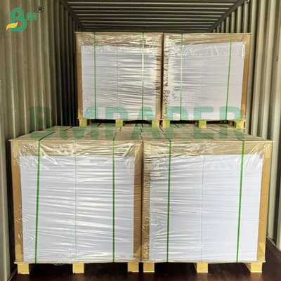 168 g 192 g Carta impermeabile bianca degradabile eco-compatibile per notebook