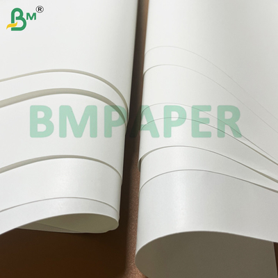 168 g 192 g Carta impermeabile bianca degradabile eco-compatibile per notebook