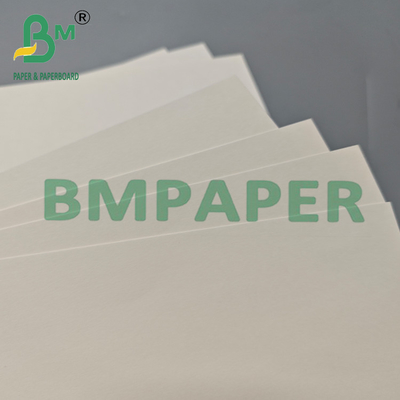 210 grammi di carta per tè con rivestimento in PLA