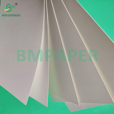 230 gm 260 gm Single Side PE Coated Cup Paper per la fabbricazione di carta per tazze