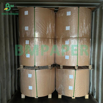230 gm 260 gm Single Side PE Coated Cup Paper per la fabbricazione di carta per tazze