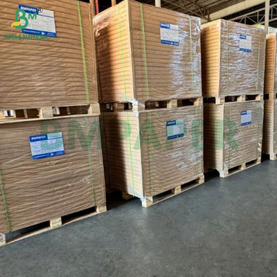 Carta C2S digitale a doppio lato lucida 80 lb 120 gm per opuscoli 450 x 320 mm