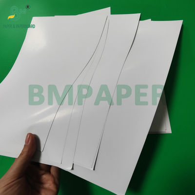 Carta C2S digitale a doppio lato lucida 80 lb 120 gm per opuscoli 450 x 320 mm