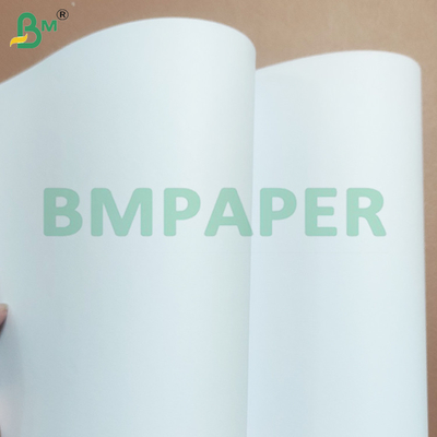 Fogli di carta senza legno per la stampa offset ecologici da 70 gm a 80 gm