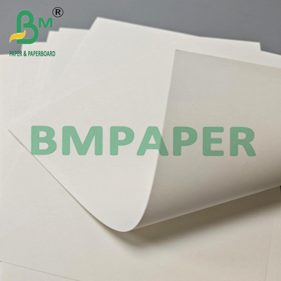15 gm PE 260 g carta di qualità alimentare 100% vergine marrone a base di tazze Kraft