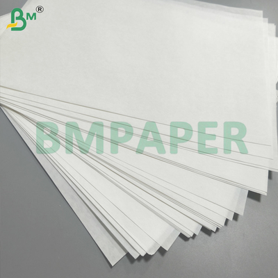 Carta di vetro e di plastica interlacciata colore bianco resistente alla corrosione