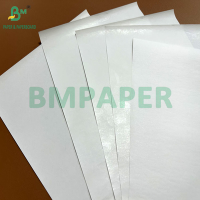 Larghezza del rotolo 440 mm 450 mm 48 grammi 55 grammi Carta termica bianca Per stampanti POS
