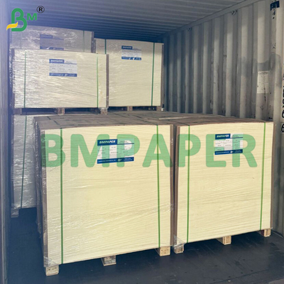 Ottima rigidità Carta base cupstock non rivestita 150 - 250 gm