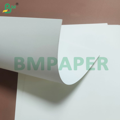 Rulli di carta di base bianca di tazza sbiancata liscia e riciclabile 230 gm