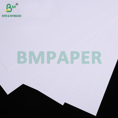 300 gm 350 gm Cartone bianco non rivestito per hangtag Alto lisce 70 x 100 cm