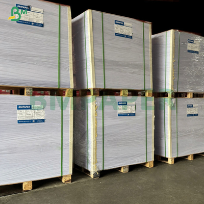 300 gm 350 gm Cartone bianco non rivestito per hangtag Alto lisce 70 x 100 cm