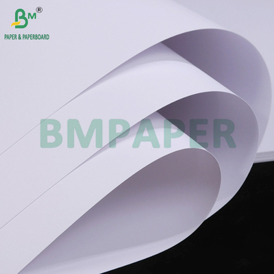 300 gm 350 gm Cartone bianco non rivestito per hangtag Alto lisce 70 x 100 cm