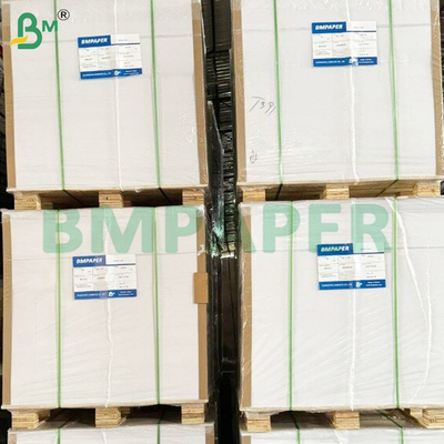 Sicurezza alimentare 200+10GSM fogli di carta rivestiti in PET per contenitori alimentari