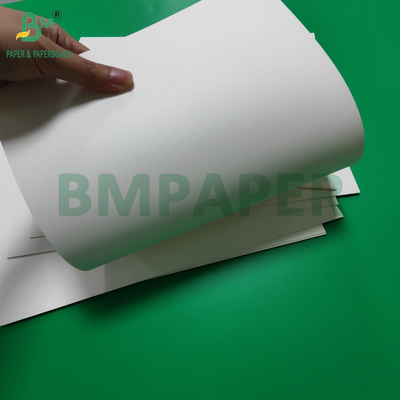 Cartone bianco laminato in PET impermeabile da 300 gm per scatole da pranzo riciclabile