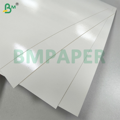 Carta di servizio alimentare con rivestimento in PET bianco per carta a piastra resistente al grasso