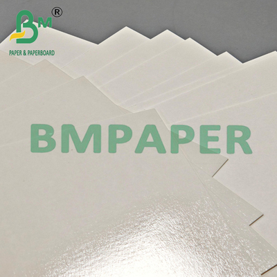 315 grammi resistente al calore PET usa e getta carta kraft bianca 24" x 36"