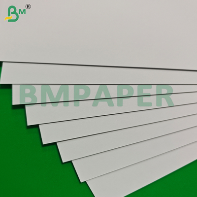 350 gm 400 gm Carta bianca e rigida senza legno