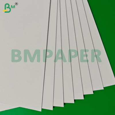 350 gm 400 gm Carta bianca e rigida senza legno