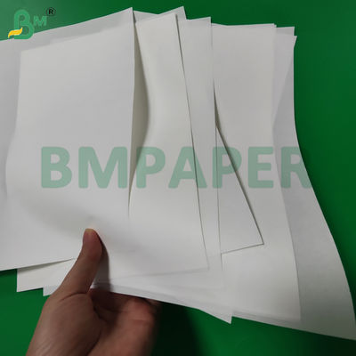 35gsm 40gsm Carta da forno per cupcake facile da sfilare per kit muffin 5 700 x 1000mm