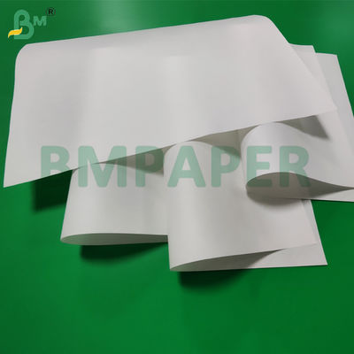 35gsm 40gsm Carta da forno per cupcake facile da sfilare per kit muffin 5 700 x 1000mm