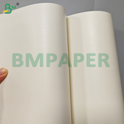 Fogli di carta per bicchieri impermeabili con rivestimento PE su un lato da 230+15 gsm