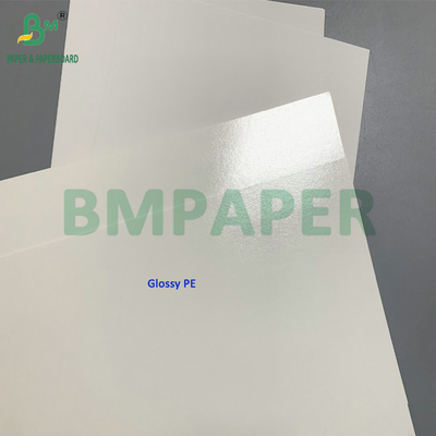 C1S 275gm + 15gm PE Cartone congelato per gamberetti/pesce