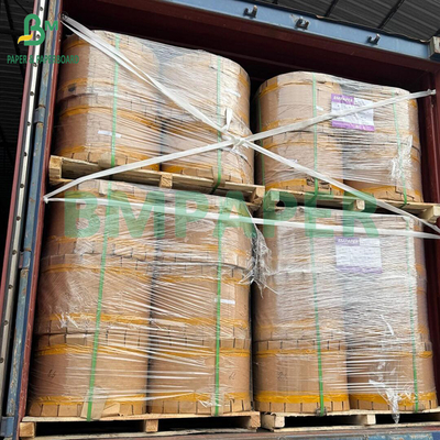 56 grammi di carta per sacchetti protettivi esterni a prova di acqua e insetti