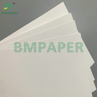 Cartuccia Blister stampabile per imballaggi Blister