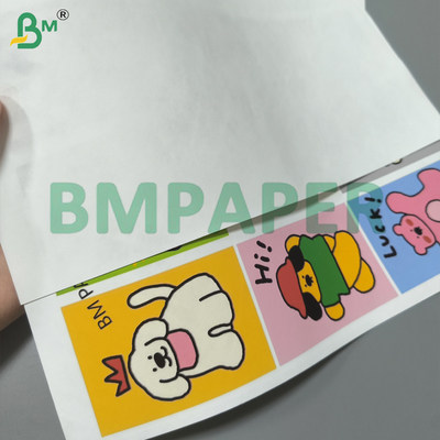 Fogli di carta bianca per stampanti a getto d'inchiostro 8,5" X 11" patinata bianca su un lato