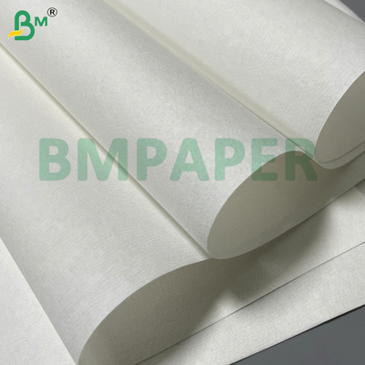 54gsm Bleached Micro - Creped Coffee Filter Base Paper for Automatic Drip Coffee Makers