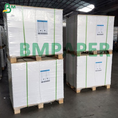 Carta Bibbia leggera da 25 g/m² a 50 g/m² - Carta da stampa ultrasottile per dizionario