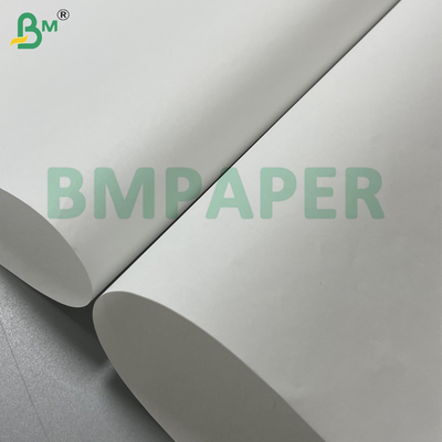 Carta per quaderno da stampa offset liscia bianca non patinata da 80 g/m² 787 X 515 mm in fogli