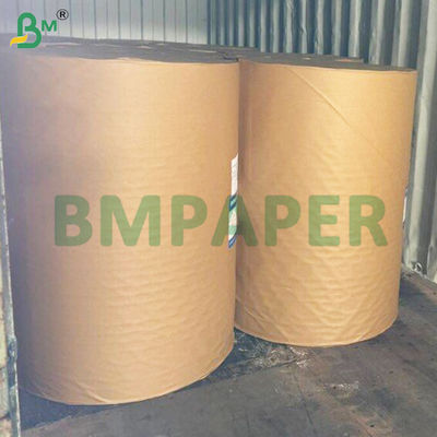 Food Grade Clay - Coated Kraft Back Paper Board 275gsm 325gsm