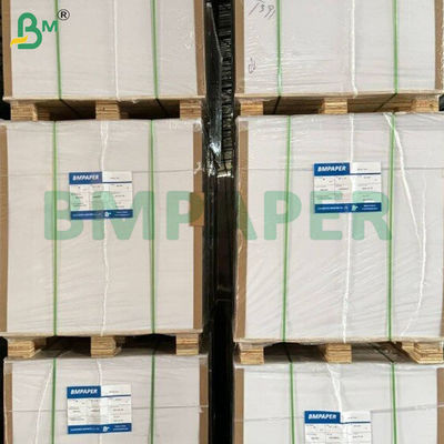 Fogli di carta per bicchieri con rivestimento in PE resistente al calore da 200 g/m² + 10 g/m²